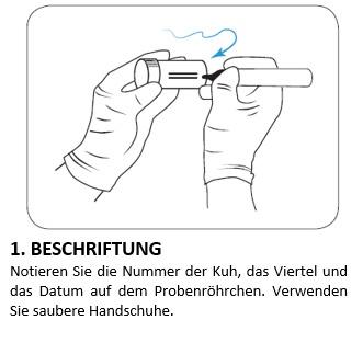 1. BESCHRIFTUNG 1. BESCHRIFTUNG