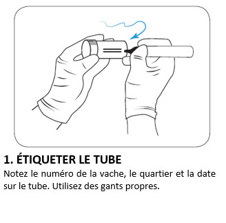 1. ÉTIQUETER LE TUBE 1. ÉTIQUETER LE TUBE