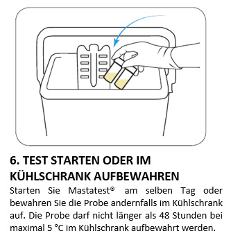 6. TEST STARTEN ODER IM KÜHLSCHRANK AUFBEWAHREN 6. TEST STARTEN ODER IM KÜHLSCHRANK AUFBEWAHREN