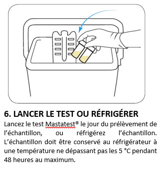 6. LANCER LE TEST OU RÉFRIGÉRER 6. LANCER LE TEST OU RÉFRIGÉRER
