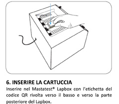 6. INSERT CARTRIDGE 6. START TEST OR REFRIGERATE
